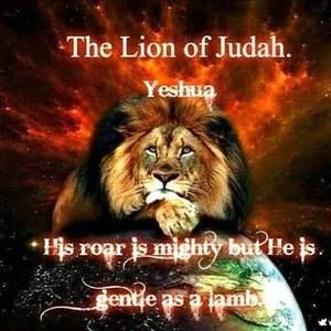 Meet your Posher, Ronnie